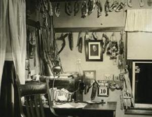 Small Sample of the James Cook Collection