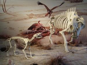 Agate Fossil Beds National Monument