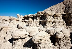 Toadstool Park