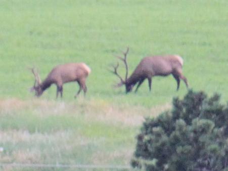 Take a look at these monsters!