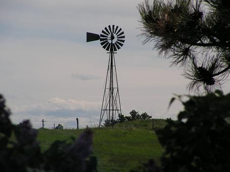 Windmill through the lilacs!