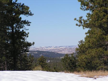 Winter wonderland!