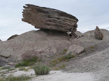 Toadstool Park!