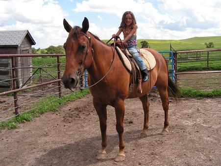 Saddle up!