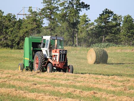 Bailing hay!