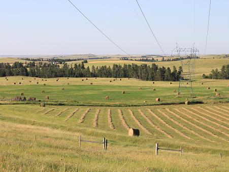 Endless hayfields!