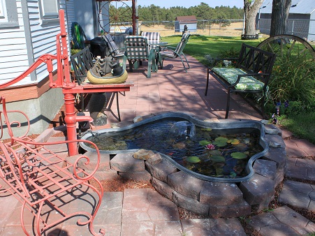 A better view of the patio and garden.