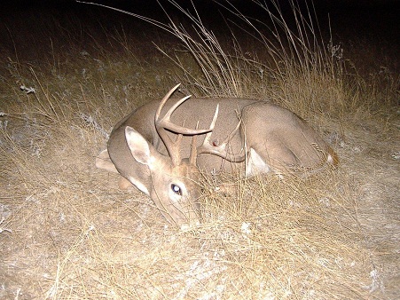 Rusty's buck.  This is a cool pic!