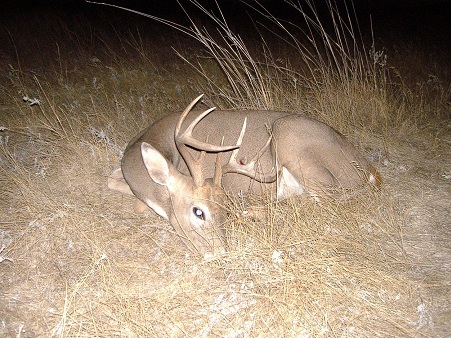 Rusty's buck. This is a cool pic!